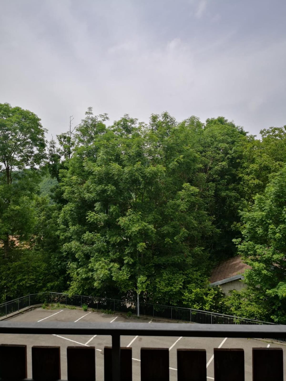 La Pineta Serina (Lombardy)
