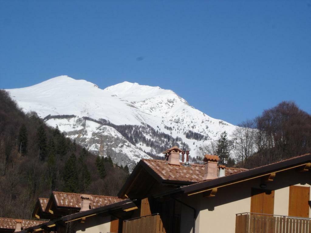 La Pineta